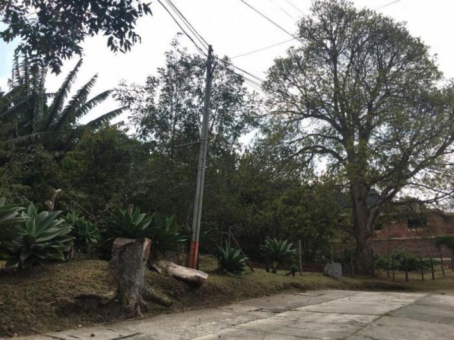 Terreno De 7338 Mts2 En Venta En Santa Rosalia; Idi: 135889