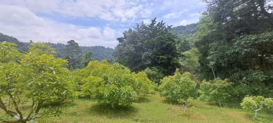 Terreno de una manzana en venta en Santiago Sacatep