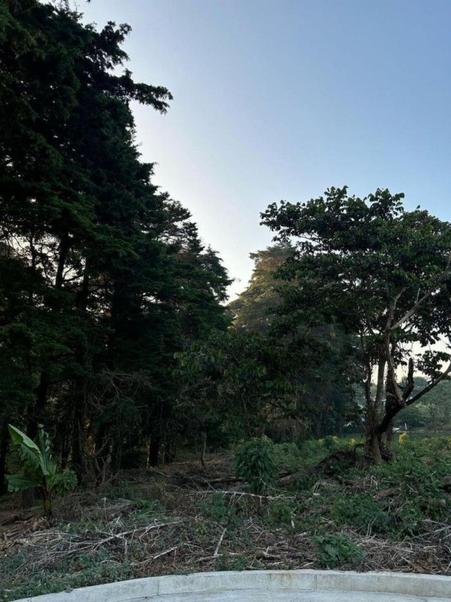 Foto Terreno en Venta en km 16 - km 30, Fraijanes, Guatemala - U$D 293.000 - TEV46306 - BienesOnLine