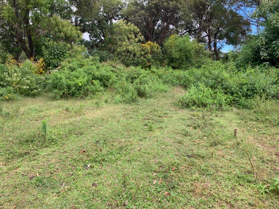 Foto Terreno en Venta en San Miguel Milpas Altas, Santa Lucía Milpas Altas, Sacatepéquez - U$D 60.000 - TEV21228 - BienesOnLine