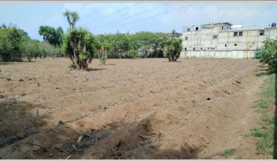 Foto Terreno en Renta en Chimaltenango, Chimaltenango - TER42796 - BienesOnLine