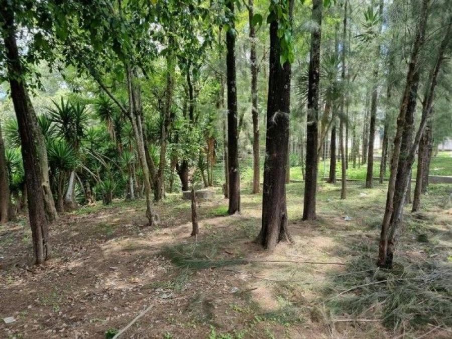 Foto Terreno en Renta en San Cristbal, Mixco, Guatemala - Q 5.000 - TER44148 - BienesOnLine