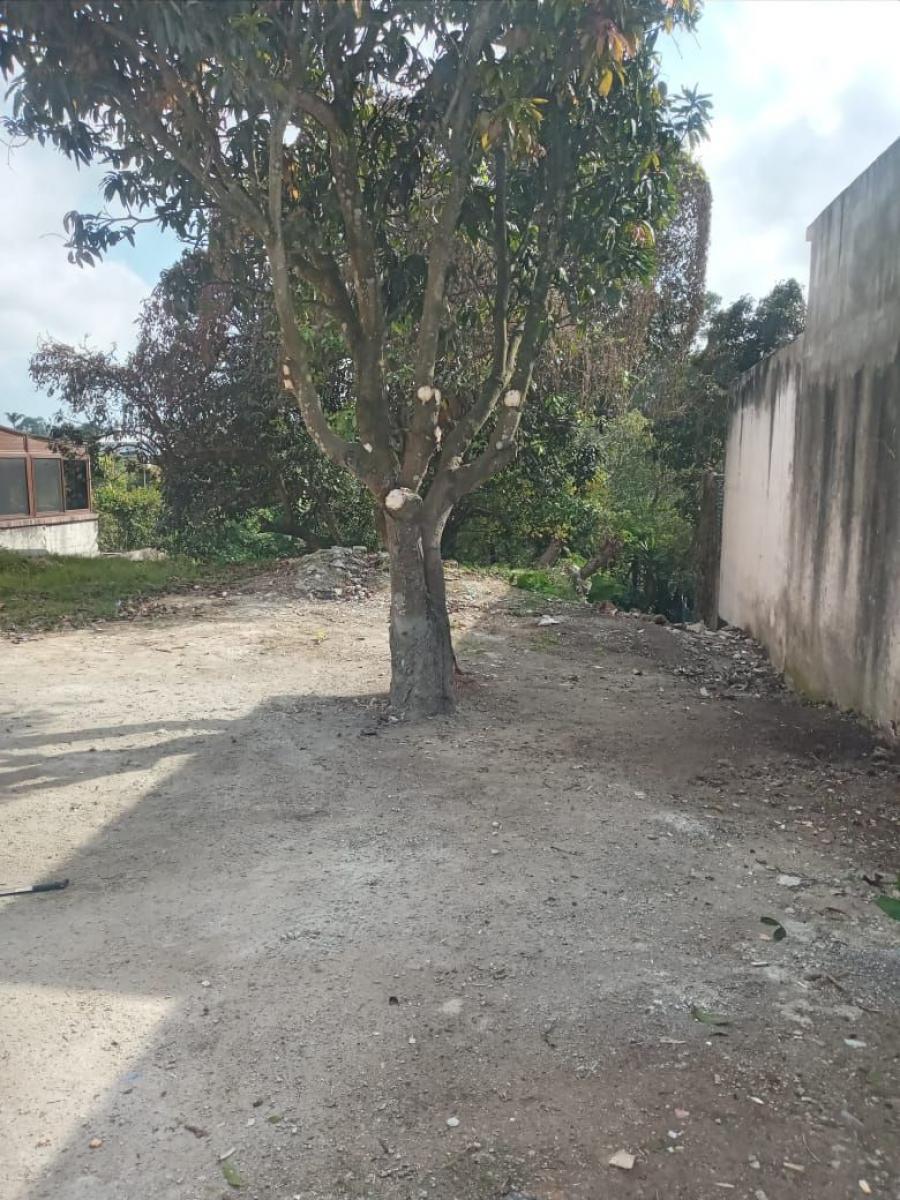 Foto Terreno en Renta en zona 15, Guatemala - U$D 1.000 - TER42210 - BienesOnLine