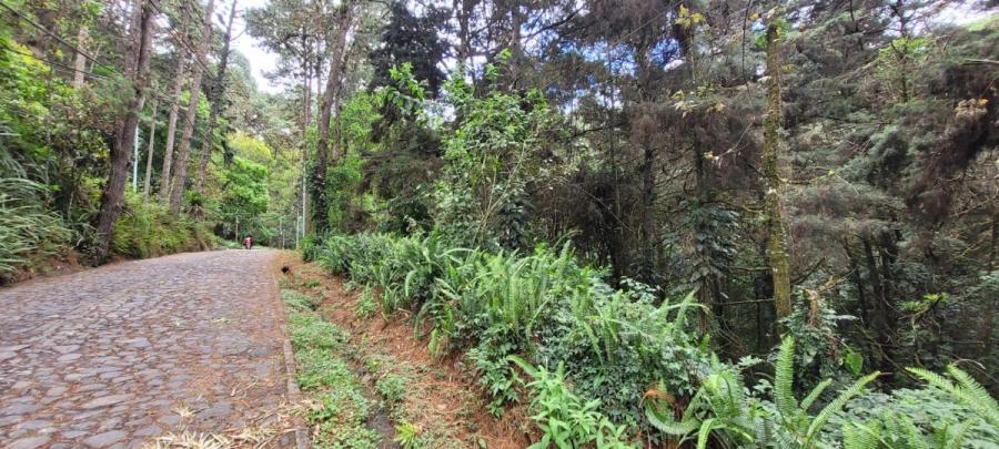 Terreno en Santa Rosalía SCP