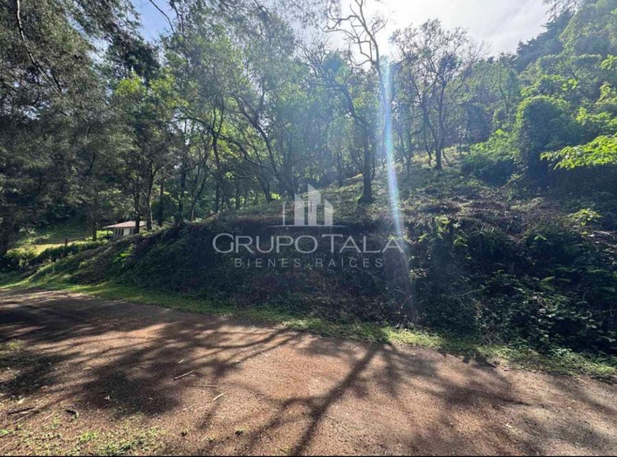 Foto Terreno en Venta en Fraijanes, Guatemala - Q 950.000 - TEV43408 - BienesOnLine