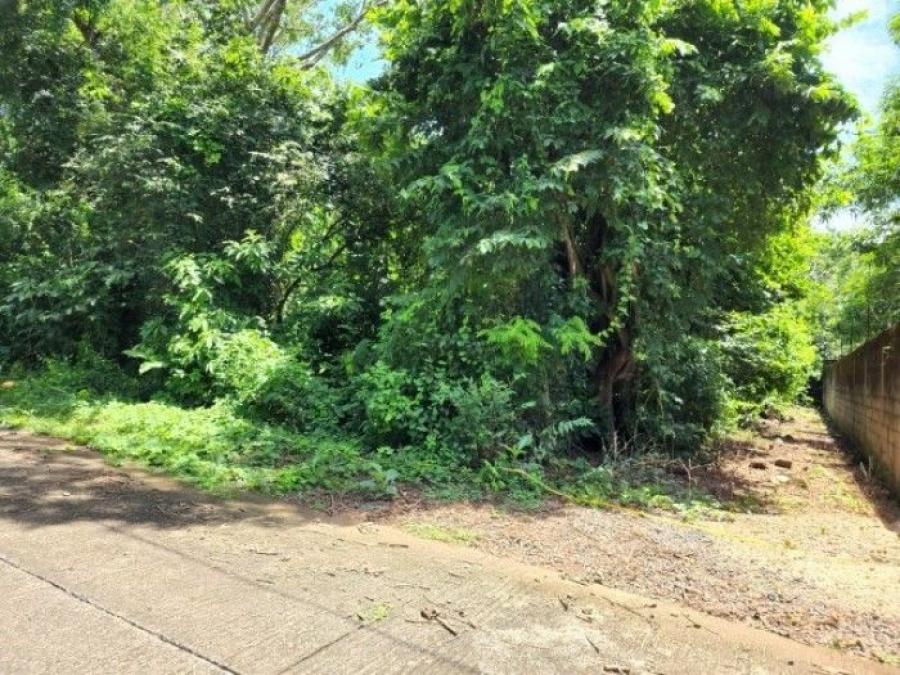 Foto Terreno en Venta en Masagua, Masagua, Escuintla - Q 45.000 - TEV44224 - BienesOnLine