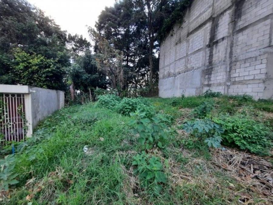 Foto Terreno en Venta en Zona 6, Ciudad de Guatemala, Guatemala - Q 200.000 - TEV44139 - BienesOnLine