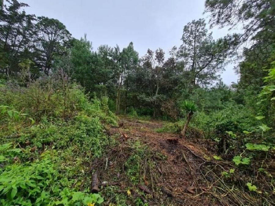 Terreno en Venta Colonia El Paraíso Sacatepéquez