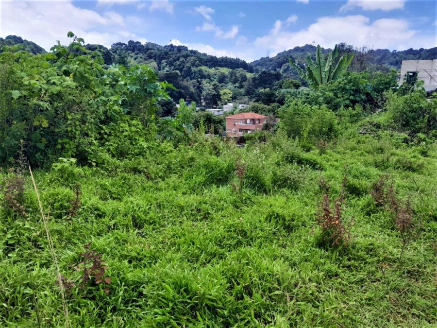 Foto Terreno en Venta en Piedra Parada, Guatemala - Q 250.000 - TEV28299 - BienesOnLine