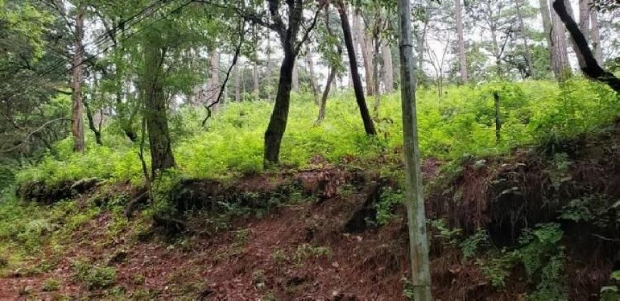 Foto Terreno en Venta en El Encinal, Mixco, Guatemala - U$D 145.000 - TEV43982 - BienesOnLine