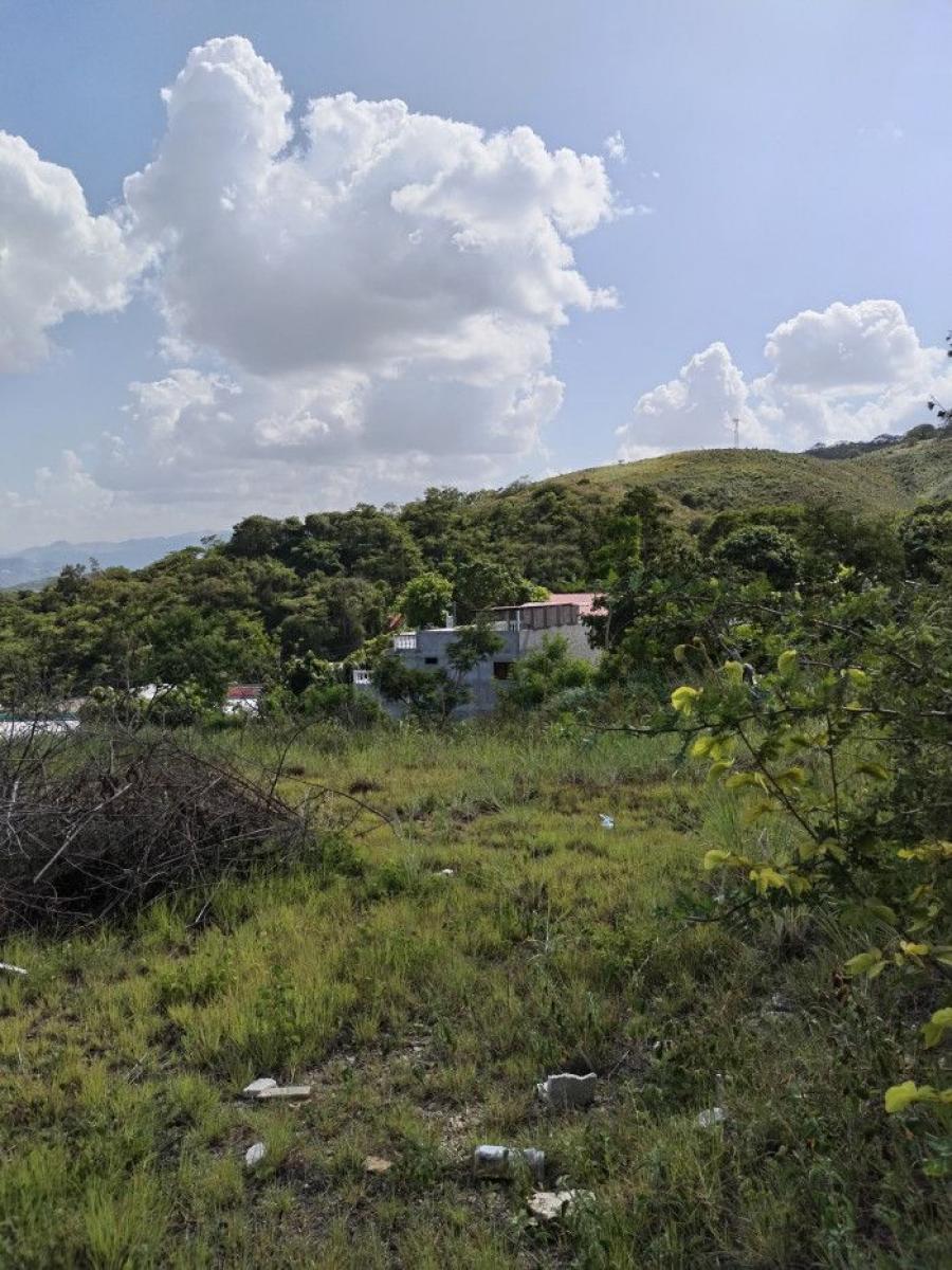 Terreno En Venta En Aldea Agua Salobrega Sanarate; Idi: 138320