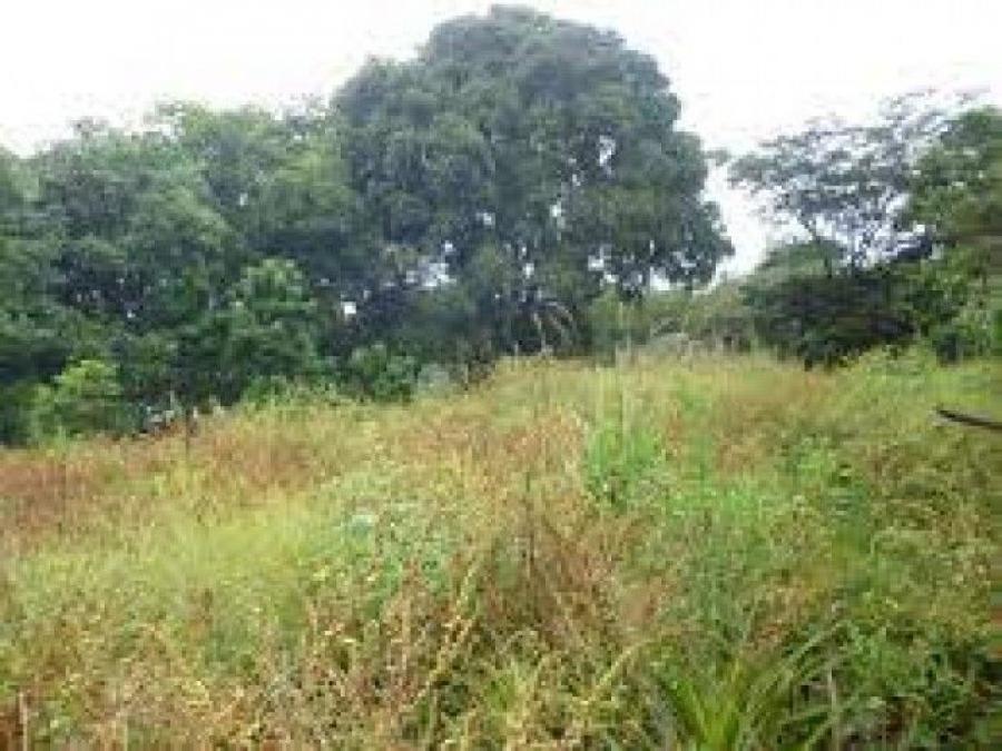 Terreno En Venta En Aldea El Jocotillo Villa Canales Guatemala; Idi: 122393