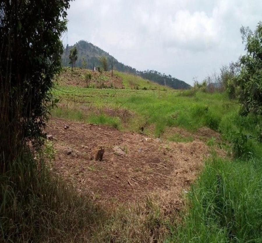 Foto Terreno en Venta en Zona 18, Guatemala - Q 1.376.026 - TEV28902 - BienesOnLine