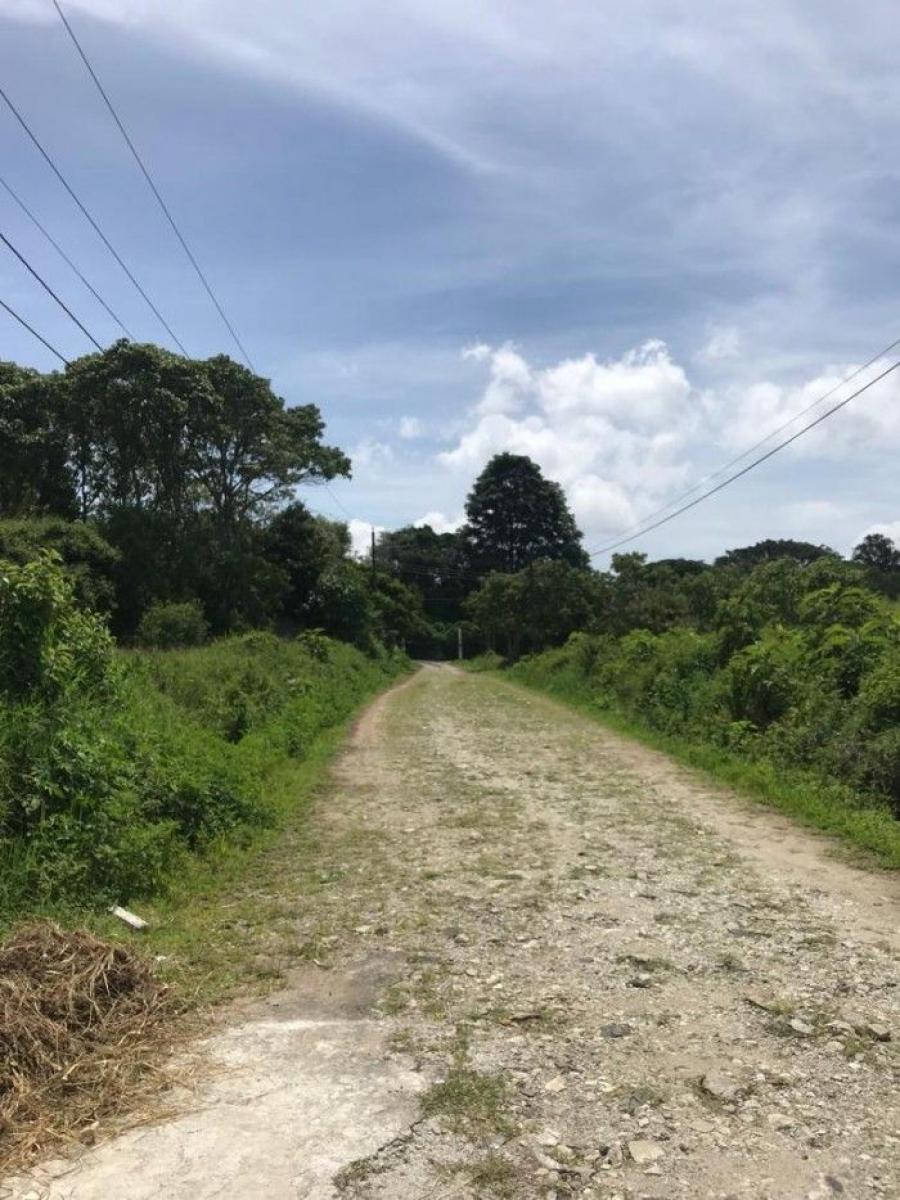 Foto Terreno en Venta en Santa Elena Barillas, Guatemala - Q 250.000 - TEV31998 - BienesOnLine