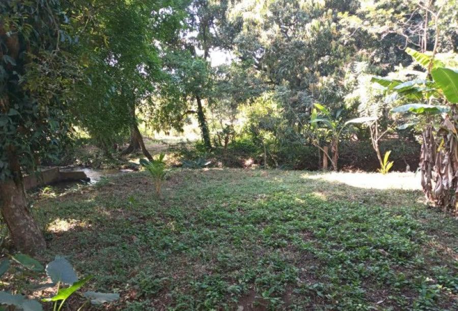 Foto Terreno en Venta en Quintas Vallarta, Lotes 11, 12 y 13,, Escuintla, Escuintla - Q 625.000 - TEV21439 - BienesOnLine