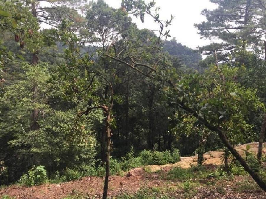 Foto Terreno en Venta en Labor de Castilla, zona 9, Mixco, Guatemala - U$D 244.120 - TEV10074 - BienesOnLine