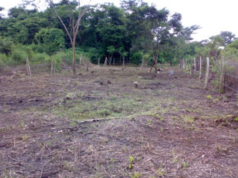 Foto Terreno en Venta en Escuintla, Escuintla - Q 100.000 - TEV31415 - BienesOnLine