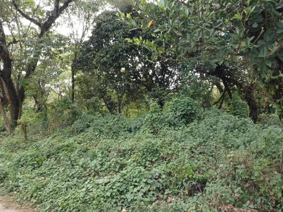 Foto Terreno en Venta en Km 16 - km 30, Guatemala - Q 1.600.000 - TEV36408 - BienesOnLine