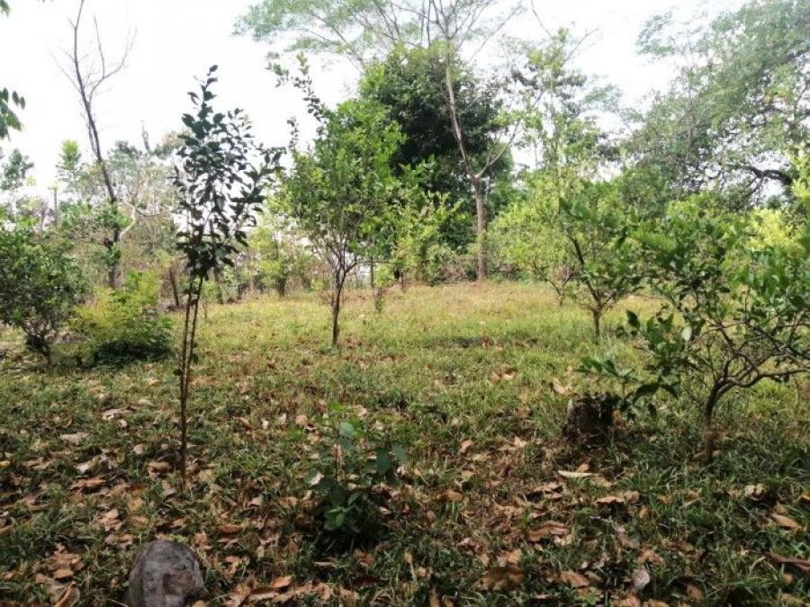 Foto Terreno en Venta en Escuintla, Escuintla - Q 240.000 - TEV33648 - BienesOnLine