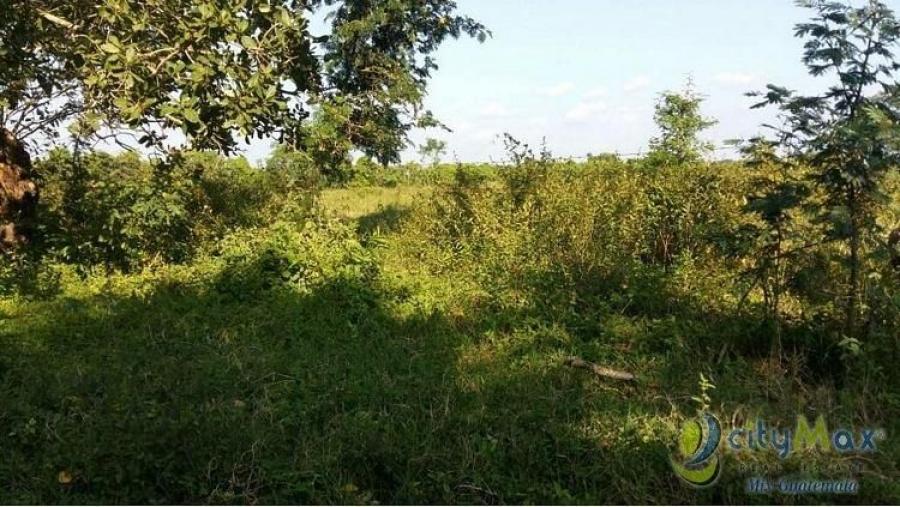 Foto Terreno en Venta en Retalhuleu, Retalhuleu, Retalhuleu - Q 800.000 - TEV43942 - BienesOnLine