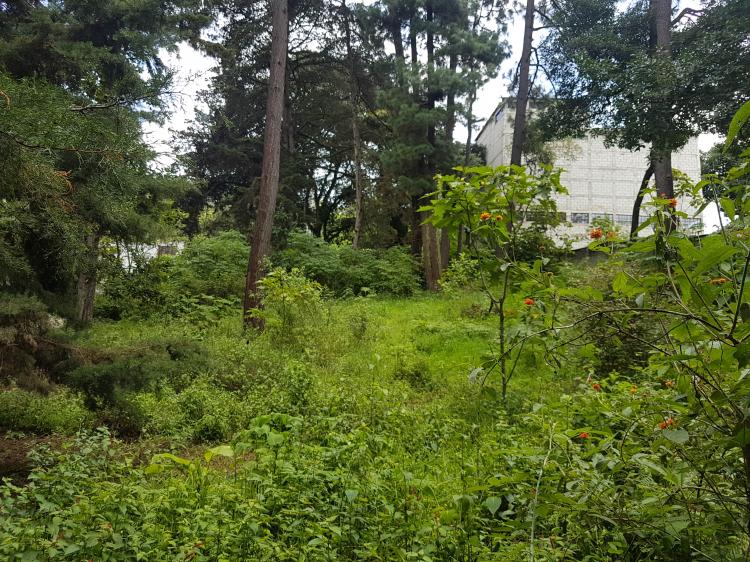 Foto Terreno en Venta en San Lucas Sacatepéquez, Sacatepéquez - Q 510.000 - TEV1615 - BienesOnLine