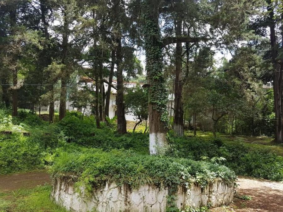 TERRENO EN VENTA EN SAN LUCAS, SACATEQUEPEZ