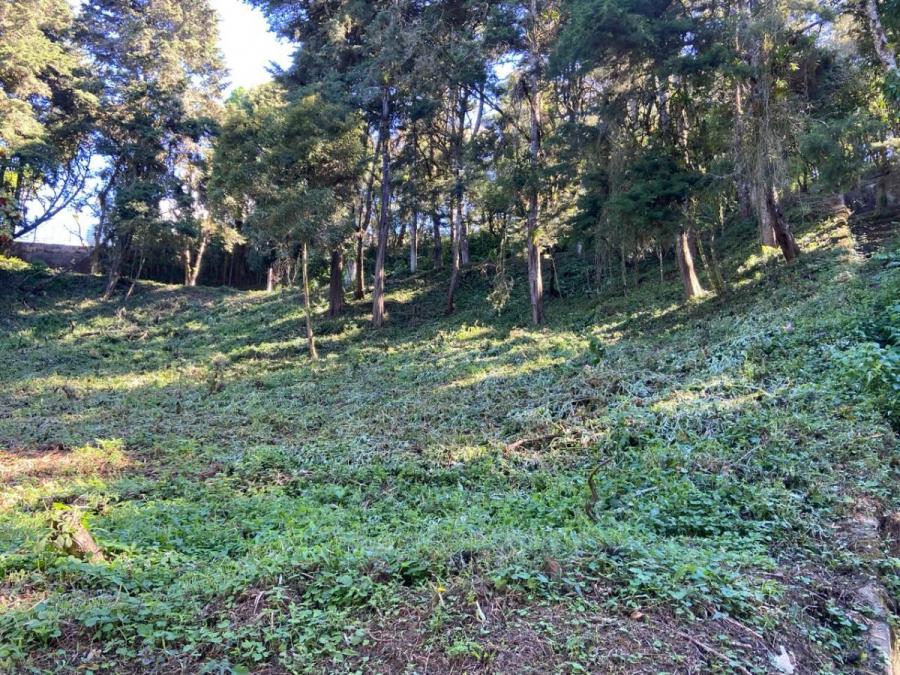 Foto Terreno en Venta en San Jos Pinula, Guatemala - U$D 255.000 - TEV43697 - BienesOnLine