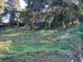 Terreno en Venta en  San José Pinula