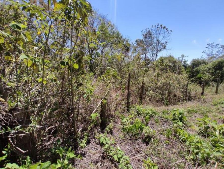 Foto Terreno en Venta en Santa Catarina Pinula, Guatemala - Q 420.000 - TEV32146 - BienesOnLine