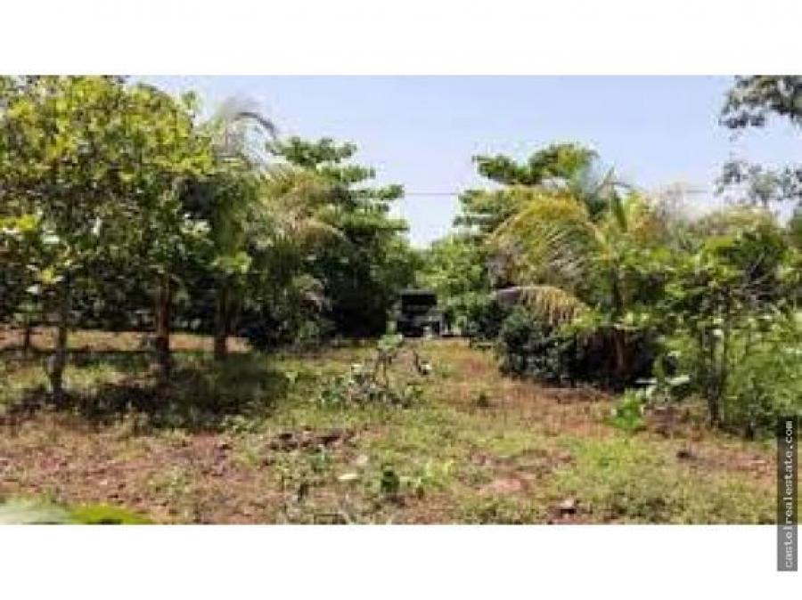 Foto Terreno en Venta en Escuintla, Escuintla - Q 30.000 - TEV30396 - BienesOnLine