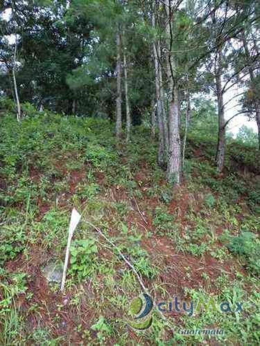 Foto Terreno en Venta en Zona 16, Guatemala - U$D 406.947 - TEV33148 - BienesOnLine