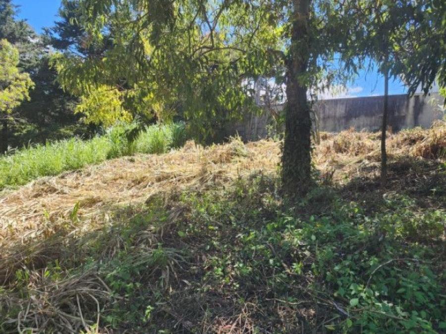 Foto Terreno en Venta en km 16 - km 30, Fraijanes, Guatemala - Q 539.000 - TEV46987 - BienesOnLine