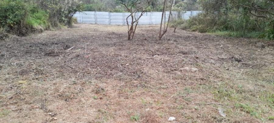 Terreno en Venta Granjas Praderas del Bambú