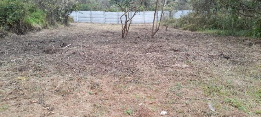 Foto Terreno en Venta en San Juan Sacatepquez, San Juan Sacatepequez, Guatemala - Q 250.000 - TEV44287 - BienesOnLine