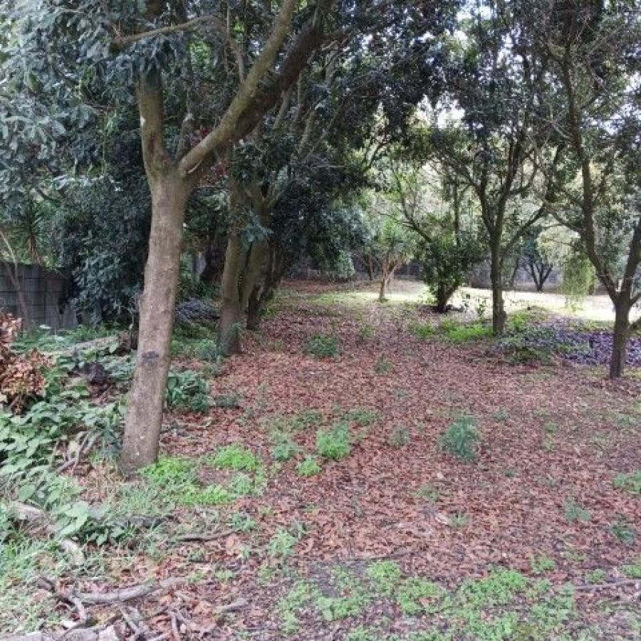 Terreno en Venta Hacienda Del Comendador, Sacatepéquez