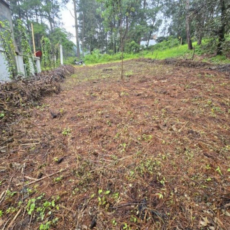 Foto Terreno en Venta en Santa Maria Cauque, Sacatepéquez - Q 450.000 - TEV46918 - BienesOnLine