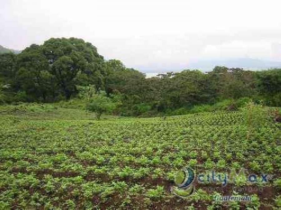 Foto Terreno en Venta en Santa Elena Barillas, Guatemala - U$D 1.080.000 - TEV33139 - BienesOnLine