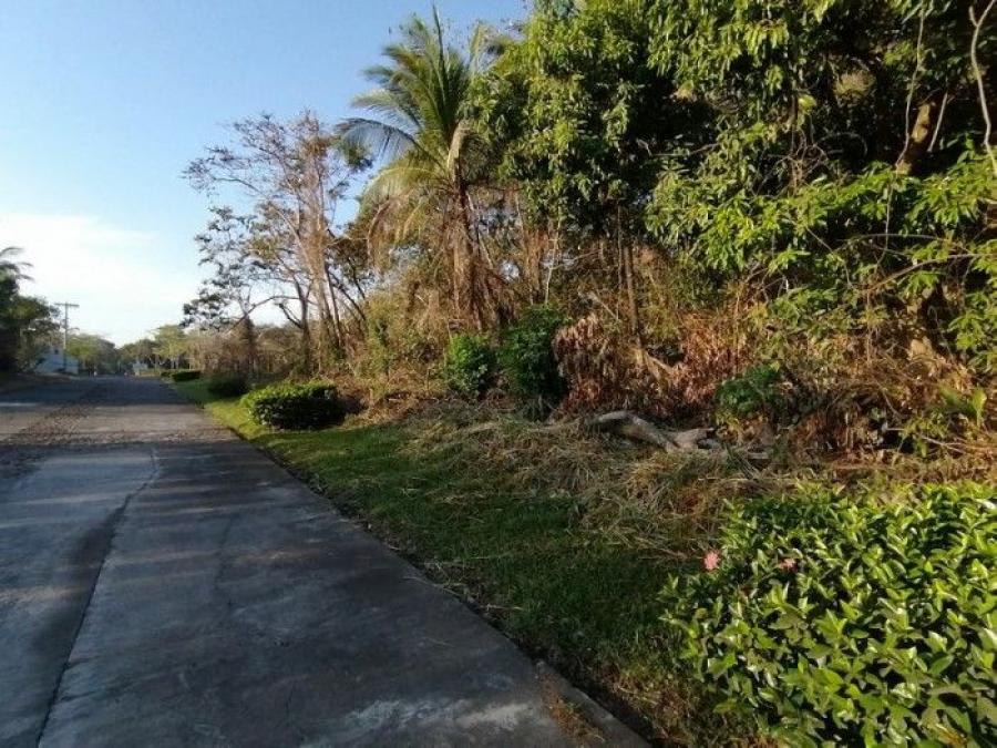 Foto Terreno en Venta en Escuintla, Escuintla, Escuintla - Q 50.000 - TEV44129 - BienesOnLine