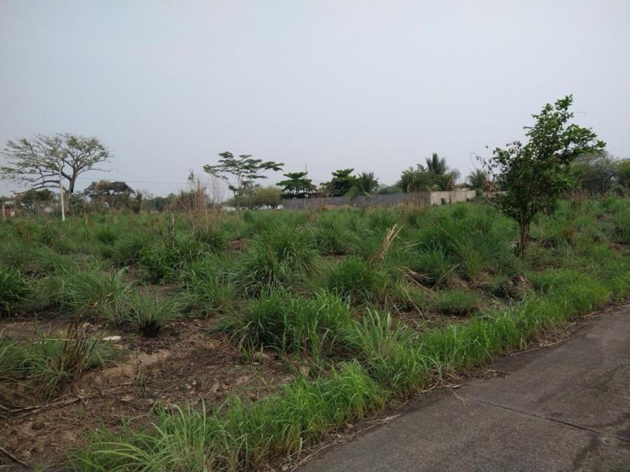 Foto Terreno en Venta en Paln, Palin, Escuintla - Q 48.000 - TEV44469 - BienesOnLine