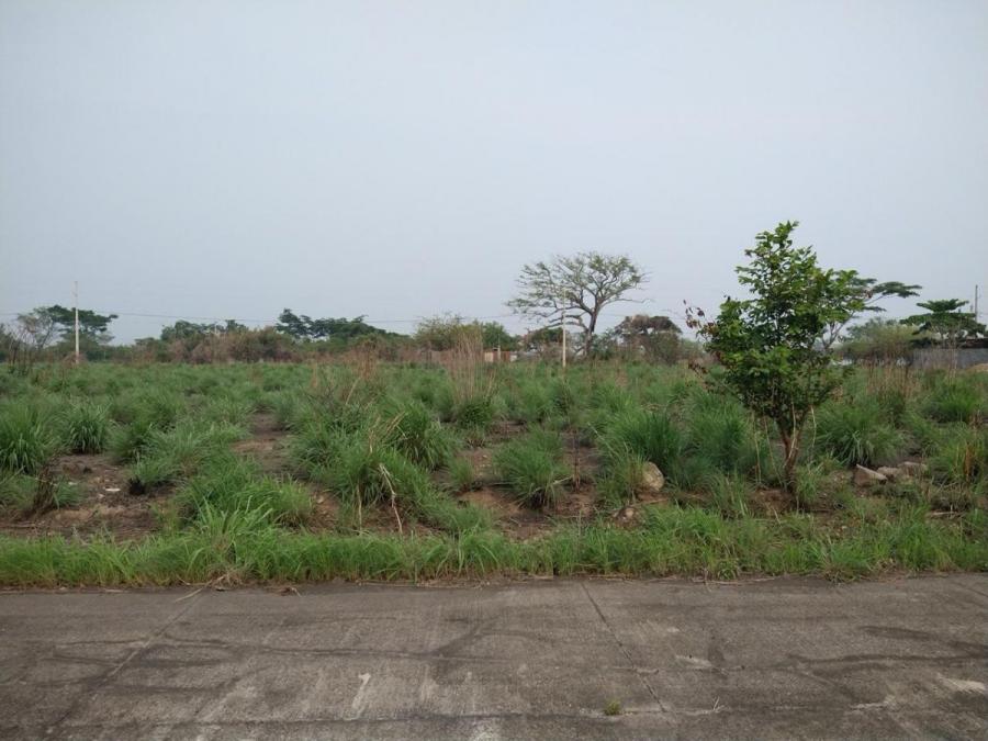 Foto Terreno en Venta en Palin, Escuintla - Q 48.000 - TEV44468 - BienesOnLine