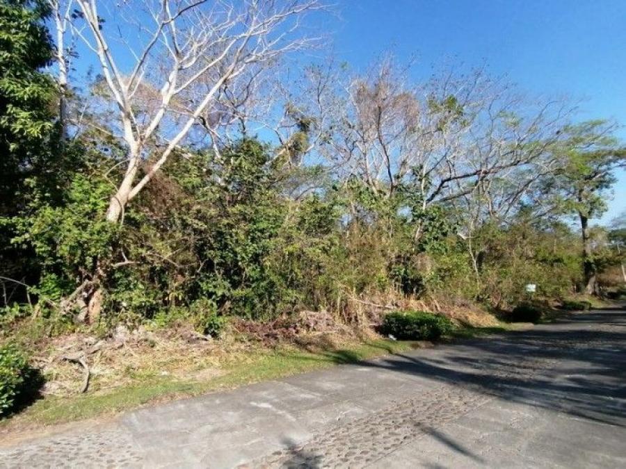 Foto Terreno en Venta en Escuintla, Escuintla, Escuintla - Q 50.000 - TEV44130 - BienesOnLine