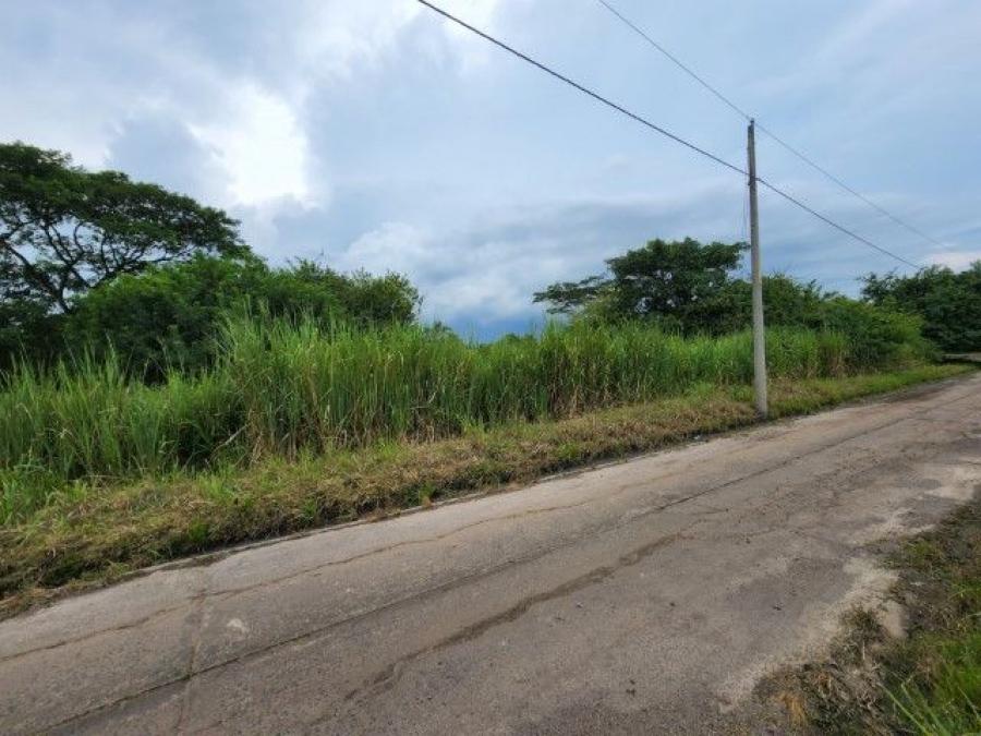 Foto Terreno en Venta en Escuintla, Escuintla, Escuintla - Q 28.000 - TEV44250 - BienesOnLine