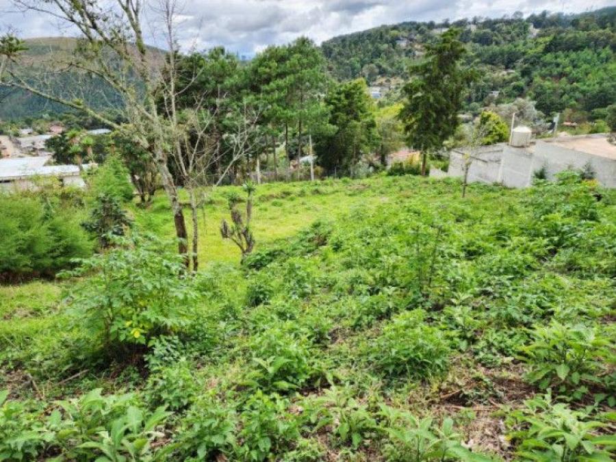 Foto Terreno en Venta en San Juan Sacatepquez, San Juan Sacatepequez, Guatemala - Q 550.000 - TEV44262 - BienesOnLine