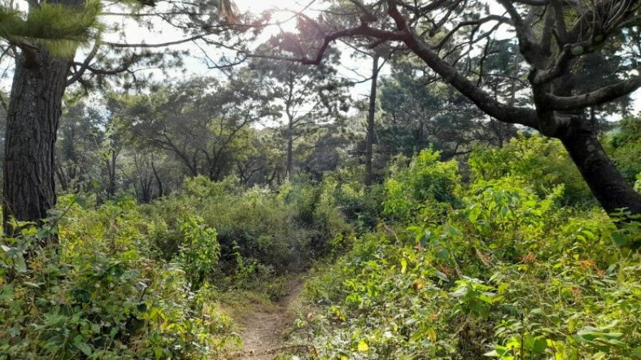 Foto Terreno en Venta en San Lucas Sacatepéquez, San Lucas Sacatepequez, Sacatepéquez - U$D 580.000 - TEV44269 - BienesOnLine