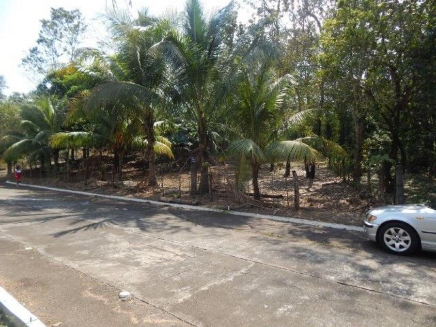 Foto Terreno en Venta en Masagua, Masagua, Escuintla - Q 58.000 - TEV46670 - BienesOnLine