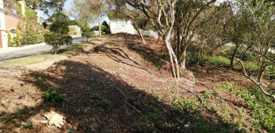 Foto Terreno en Venta en Zona 15, Guatemala - U$D 352.000 - TEV32367 - BienesOnLine