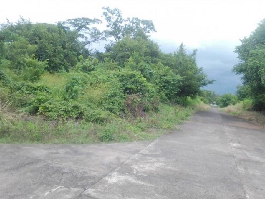 Foto Terreno en Venta en Masagua, Masagua, Escuintla - Q 185.000 - TEV44187 - BienesOnLine