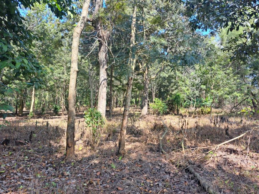 TERRENO PLANO GRANDE PARA DESARROLLO EN ANTIGUA GUATEAMALA