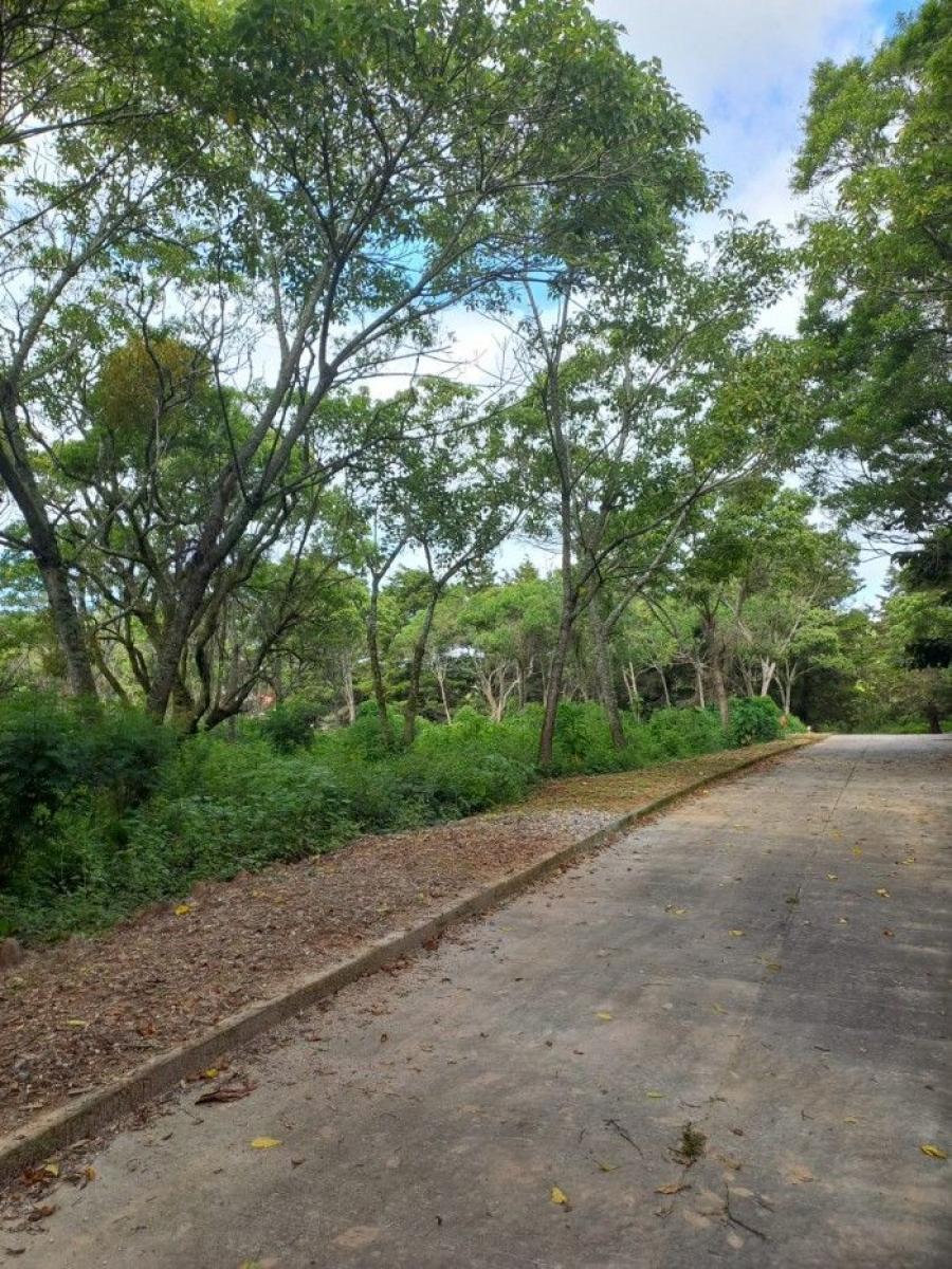 Foto Terreno en Venta en Residencial casa y Campo, Fraijanes, Guatemala - U$D 188.000 - TEV21596 - BienesOnLine