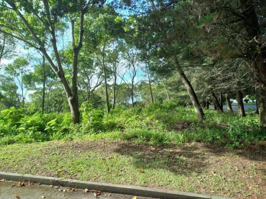 Foto Terreno en Venta en Km 16 - km 30, Guatemala - U$D 199.500 - TEV32067 - BienesOnLine